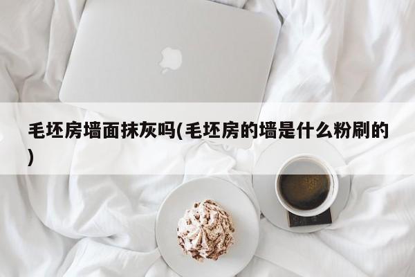 毛坯房墙面抹灰吗(毛坯房的墙是什么粉刷的)