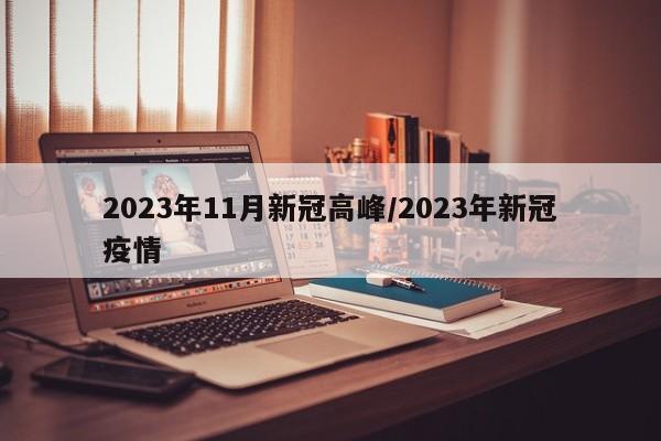 2023年11月新冠高峰/2023年新冠疫情