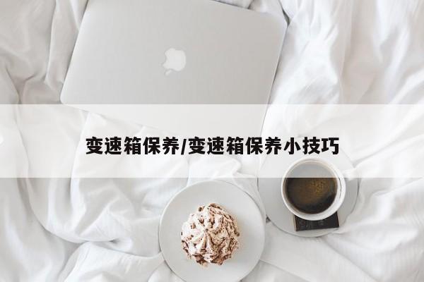 变速箱保养/变速箱保养小技巧