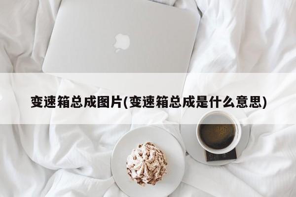 变速箱总成图片(变速箱总成是什么意思)